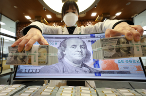 달러보험, 고환율 타고 ‘질주’…올해도 외국계 보험사가 견인