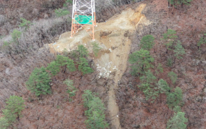 동해안 송전탑 공사로 산림 훼손…산림청, 기후부에 경고