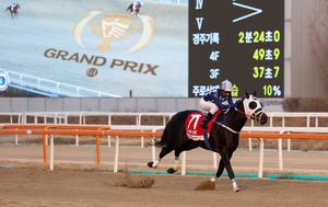 세계 강호VS한국 대표마…‘코리아컵·코리아스프린트’서 격돌