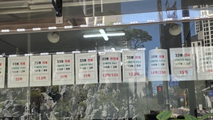 강남보다 더 오른 강북 전셋값…성북·노원 12% 뛰고 ‘국평 10억’ 시대