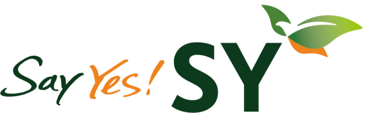 0. Say Yes, SY