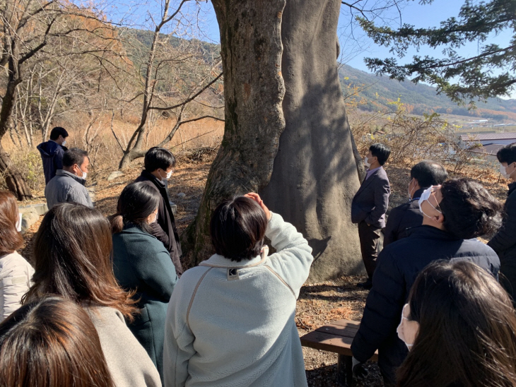 보호수 관리 실무교육 현장교육