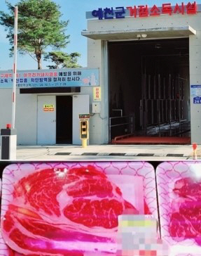 예천군거점소독시설