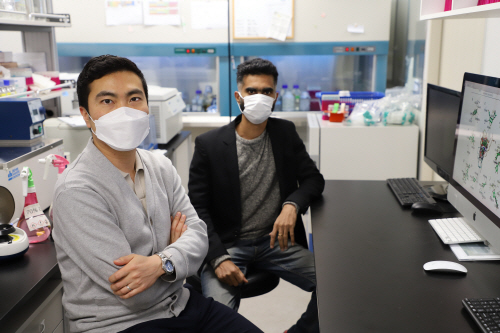 201230_신학동 교수 연구팀