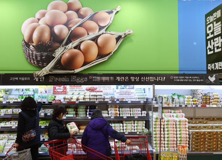 신선란·달걀가공품 한시적 관세 면제