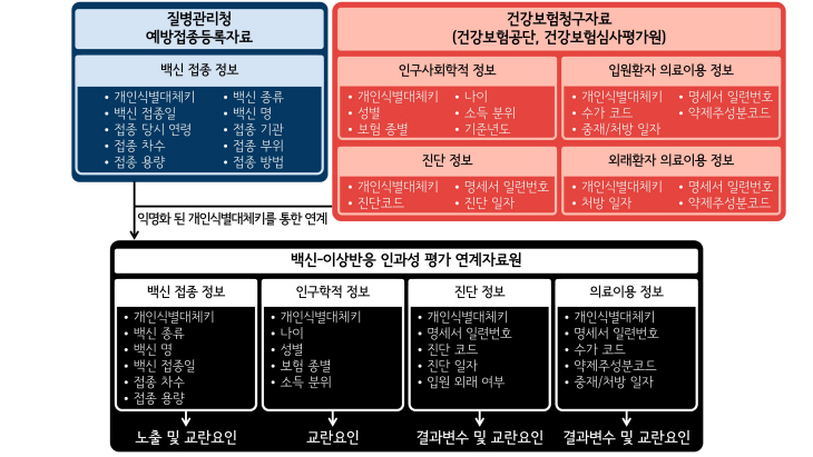자궁경부암 백신의 안전성 연구