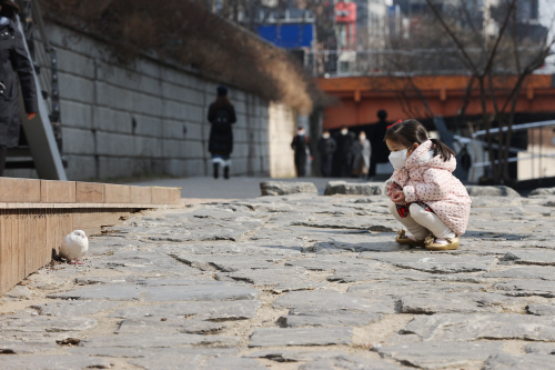 '비둘기야, 안녕?'