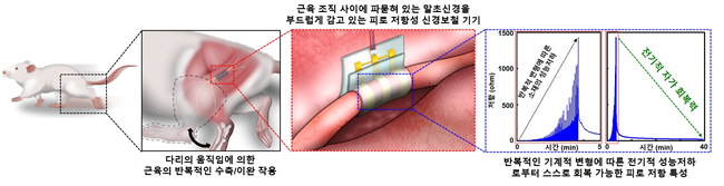 2021032401001167700049931