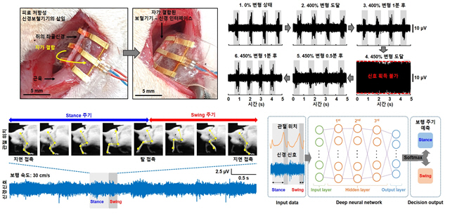 2021032401001167700049933