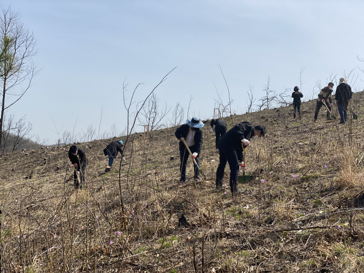 식목일 맞아 안동 산불 피해지에 식목