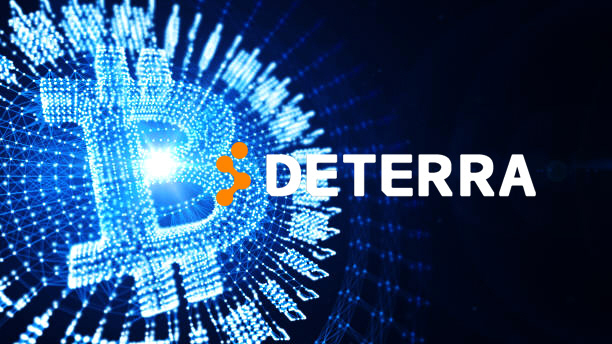 디테라렌딩 이미지