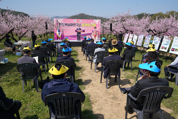 청도복숭아연구소 성과보고회