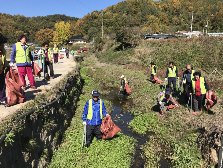 도랑살리기 정화활동 장면