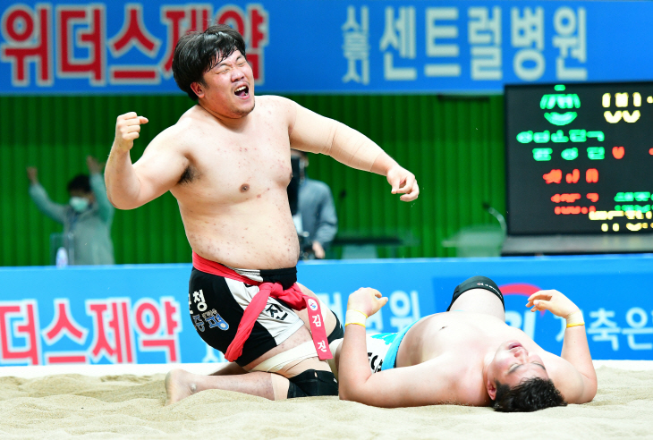 김진선수가 영암군민속씨름단 윤성민선수를 물리치는 모습