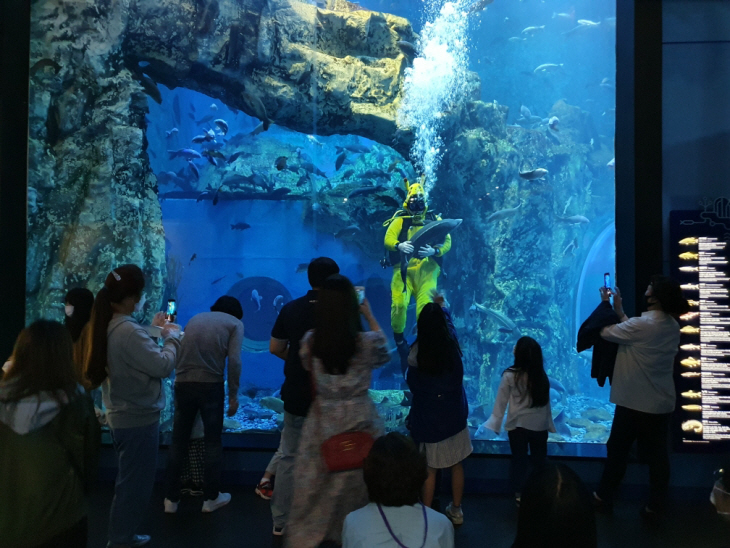 아쿠아리스트의 먹이 주기 시연 모습