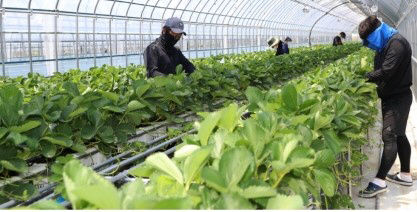 의성스마트팜시설