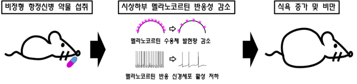 비정형 항정신성 약물에 의한 식욕 증가 및 비만기전