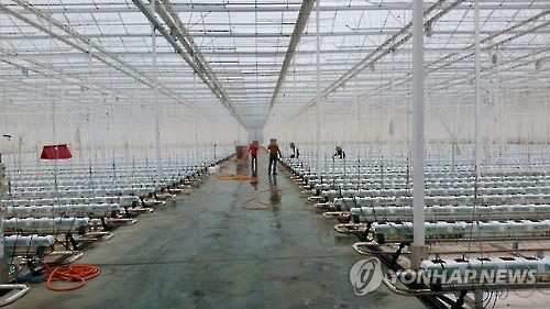 20210606006181_C0A8CA3C0000015439463E42000D3C99_P2