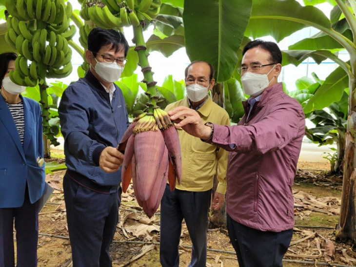 허태웅 농촌진흥청장