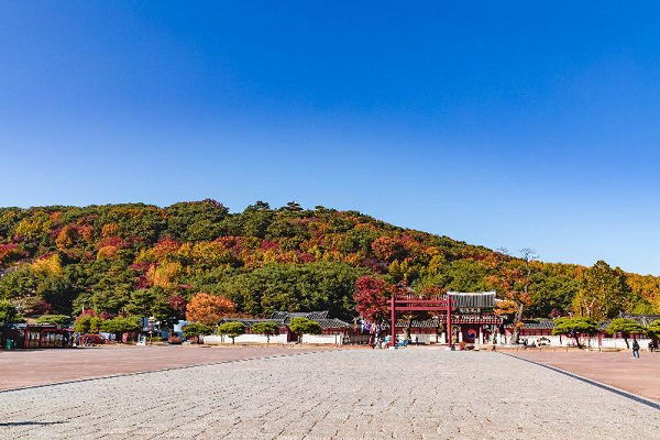 d5a1fa9f-0aed-4041-9560-9d79da486b8a_t