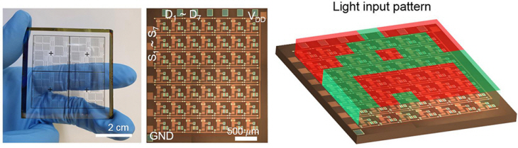 교차반응 광 뉴로모픽 어레이 시스템