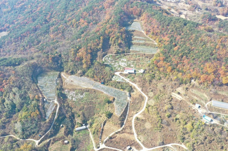 과실전문생산단지 기반조성사업 예정지