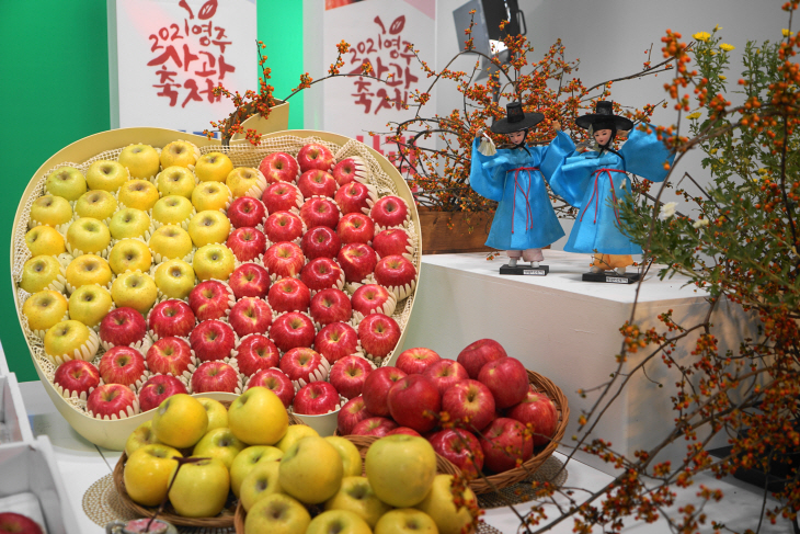 2021영주사과축제 라이브커머스 세트장