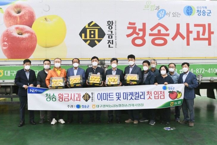 2021년산 청송황금사과 '황금진' 첫 출하