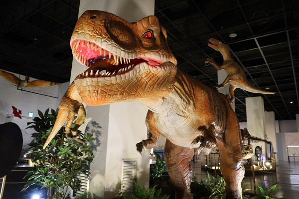 국립부산과학관, 가을맞이 특별강연 및 체험 등 풍성