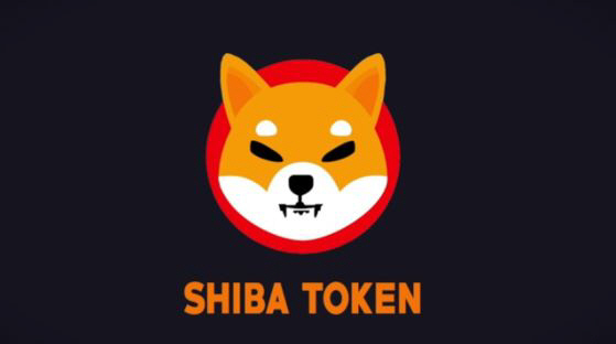 114_20211029061543319