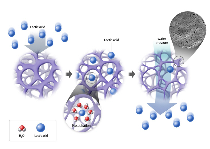 2021110201000088700003262