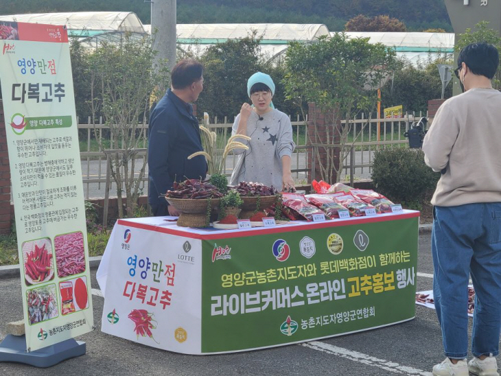 영양고추 백화점 명품관 잇따라 입점