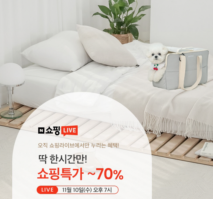 특집 라이브 방송