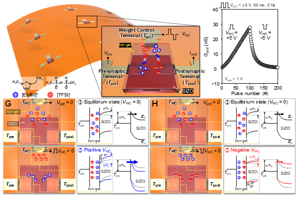 2021111001000476100019401