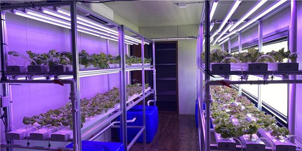 박형준 부산시장, “스마트팜 산업 육성해 일자리 창출”