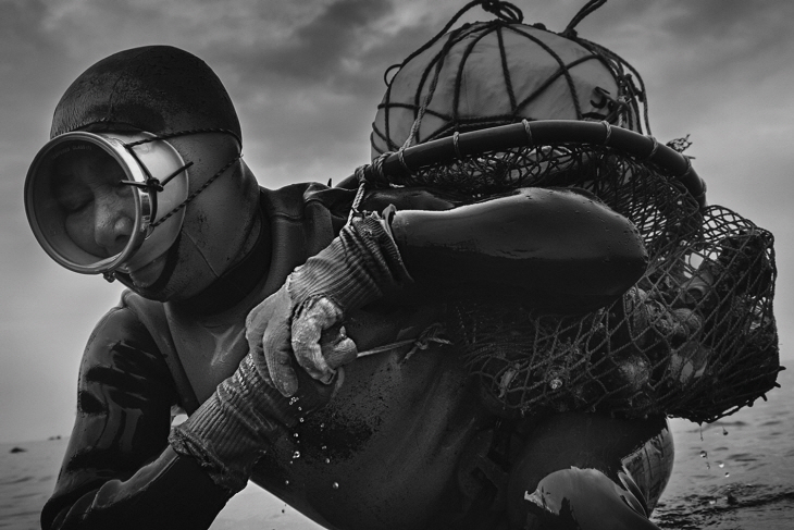 양종훈 사진전 출품작