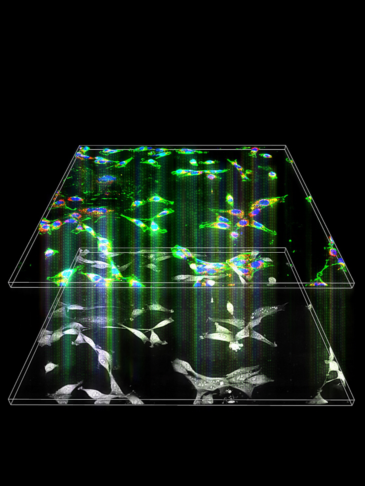 2021122001000792900032993