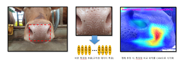 축우 개체식별 데이터 구축