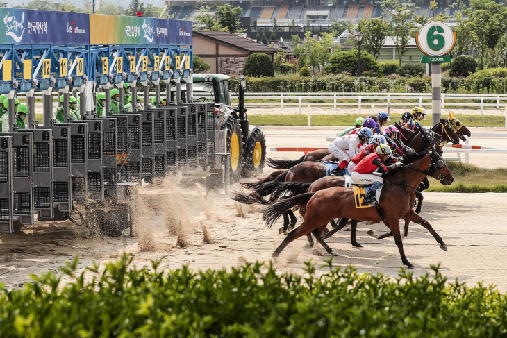 2022010901000296800012571