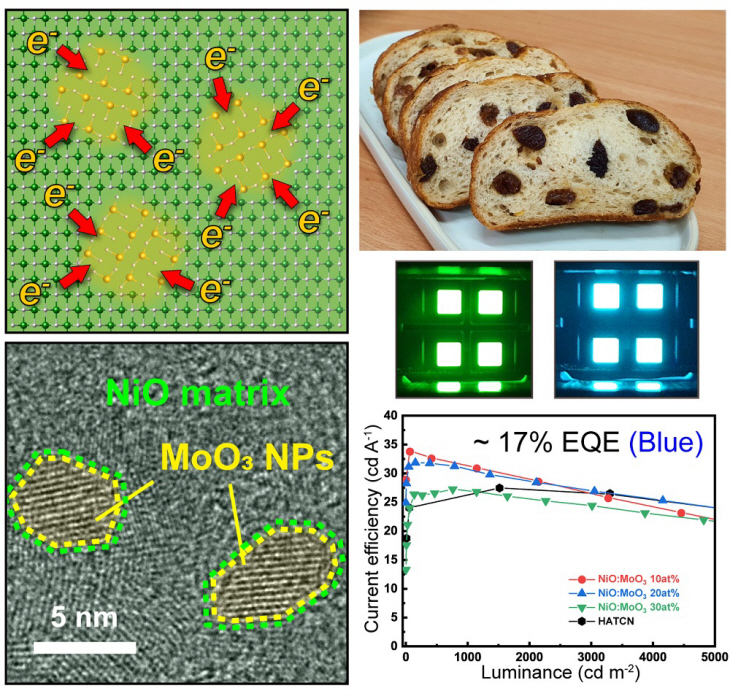 산화니켈, 산화 몰리브덴 전하 전달 복합체 및 소자 성능