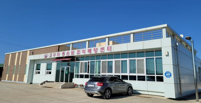 고구마 종순묘조직배양센터