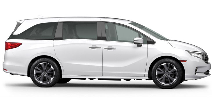 catsASDFASDFS3333311