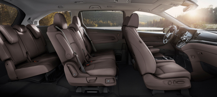 catsASDFASDF2323333333