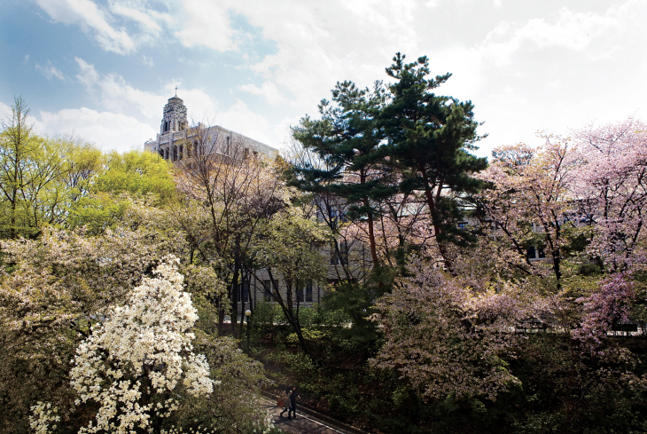 고려대 문과대학사진