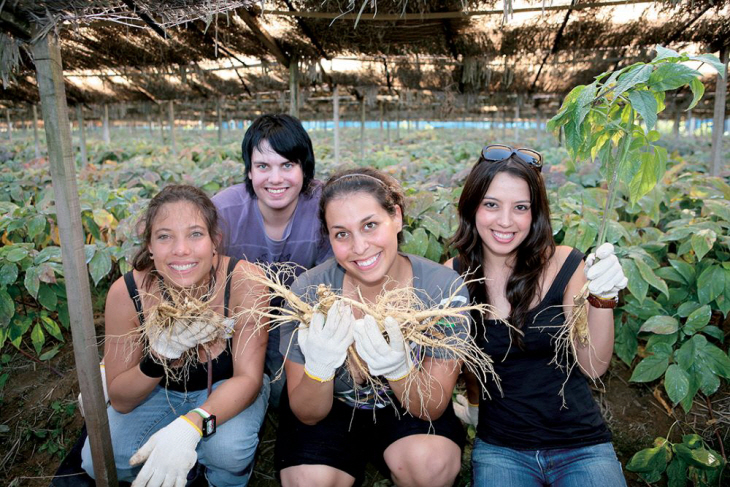 영주 풍기인삼축제 외국인 관광객 모습
