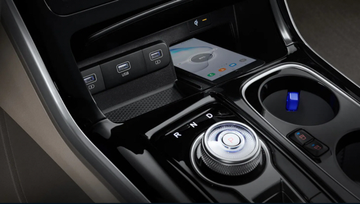 catsasdfasdf33333333314323