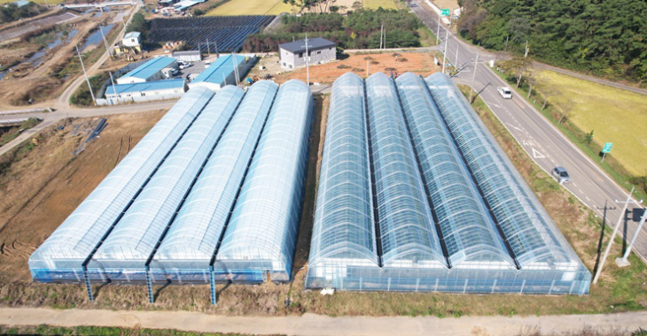 1.(1)스마트팜(청소면 연동형 딸기재배시설)