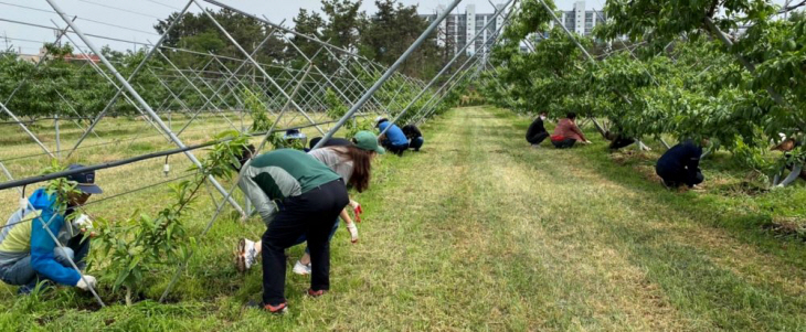 남부건설사업소 일손돕기