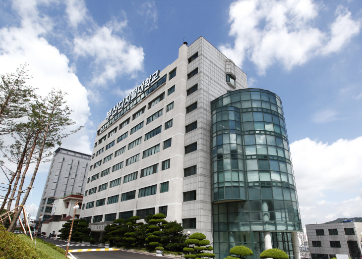 2022053101001229500051791