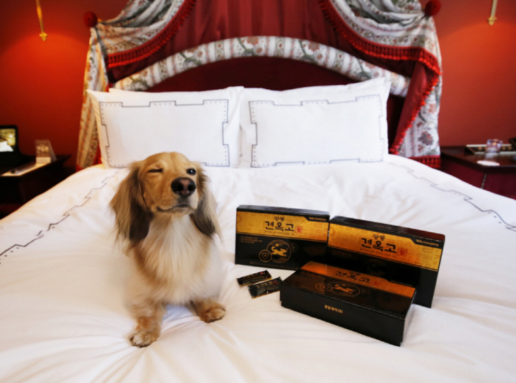 광동제약 견옥고